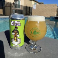 Local Craft Beer Dry Hop The Hazy - Brew Cavern