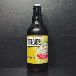 Torrside Callista Pale Ale Derbyshire vegan